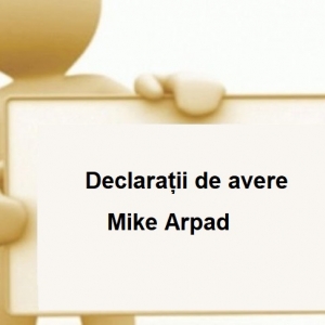 Declarații de avere Mike Arpad
