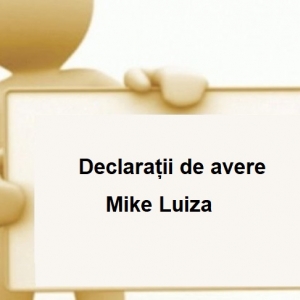 Declarații de avere Mike Luiza