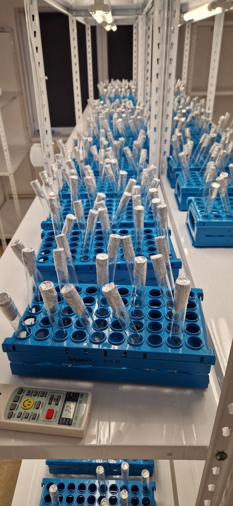 Laboratorul de biotehnologii