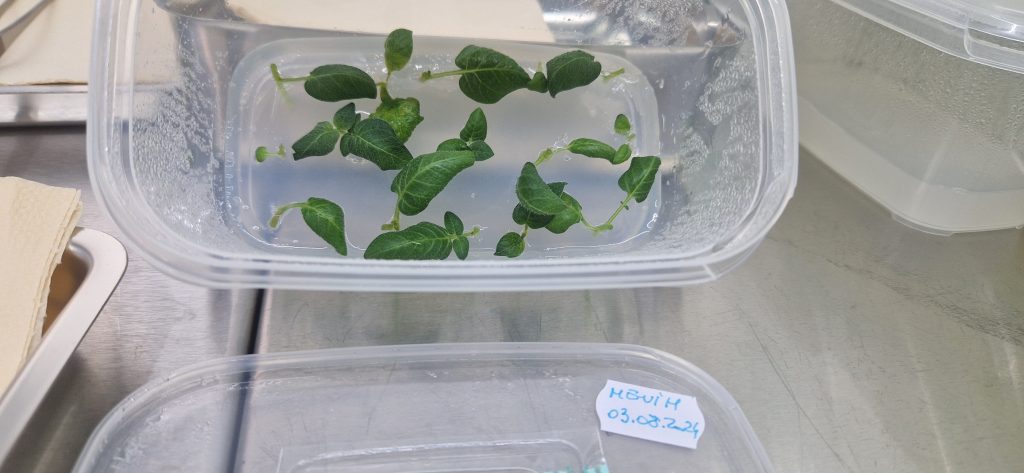 Laboratorul de biotehnologii