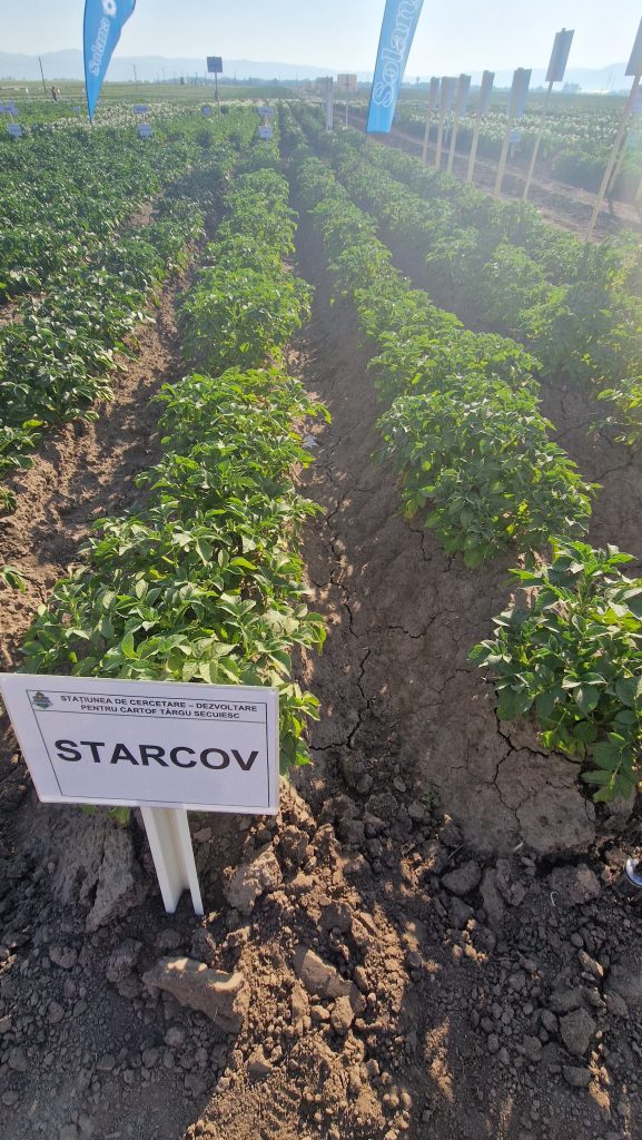 Ziua Verde a Cartofului 26 iunie 2025