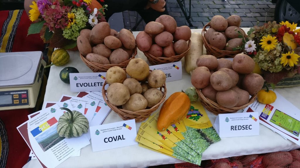 Diseminare și tranfer tehnologic