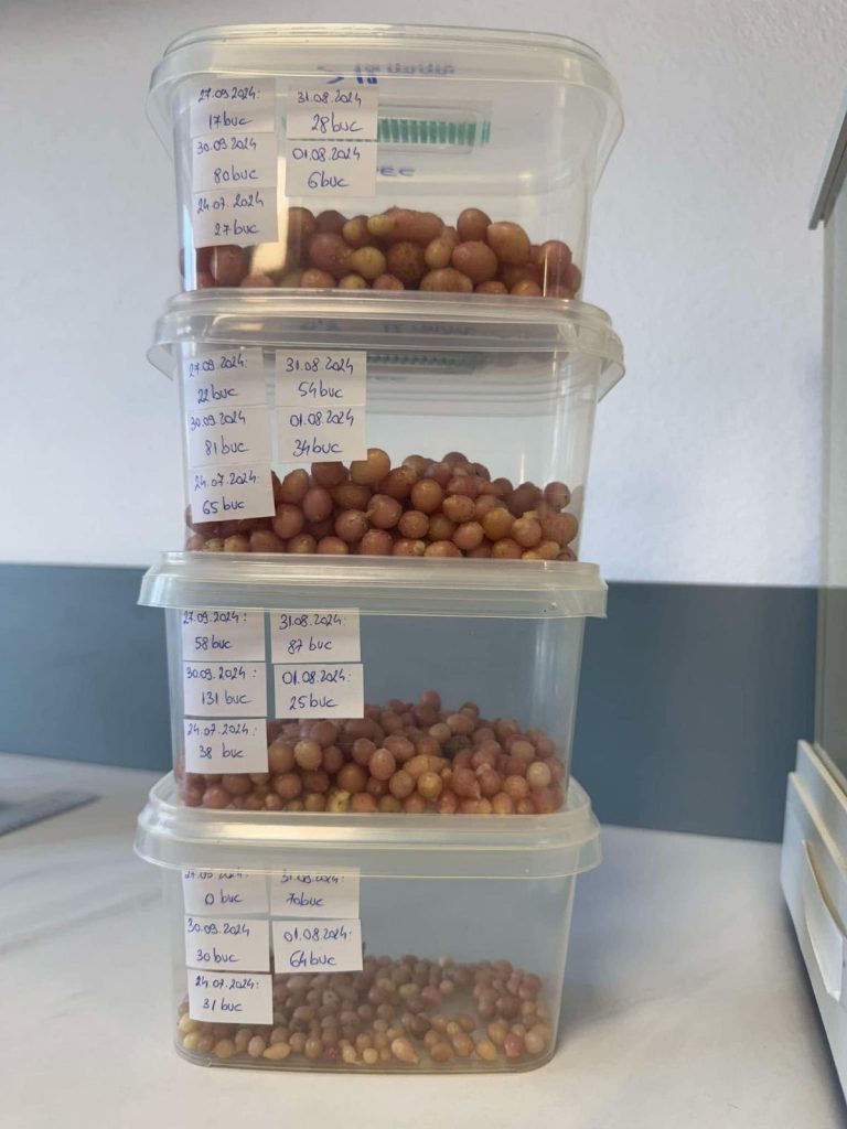 Laboratorul de biotehnologii