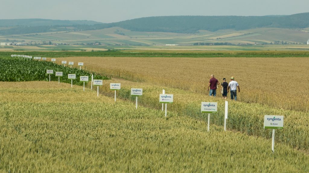 Ziua Câmpului Ediția I 2023