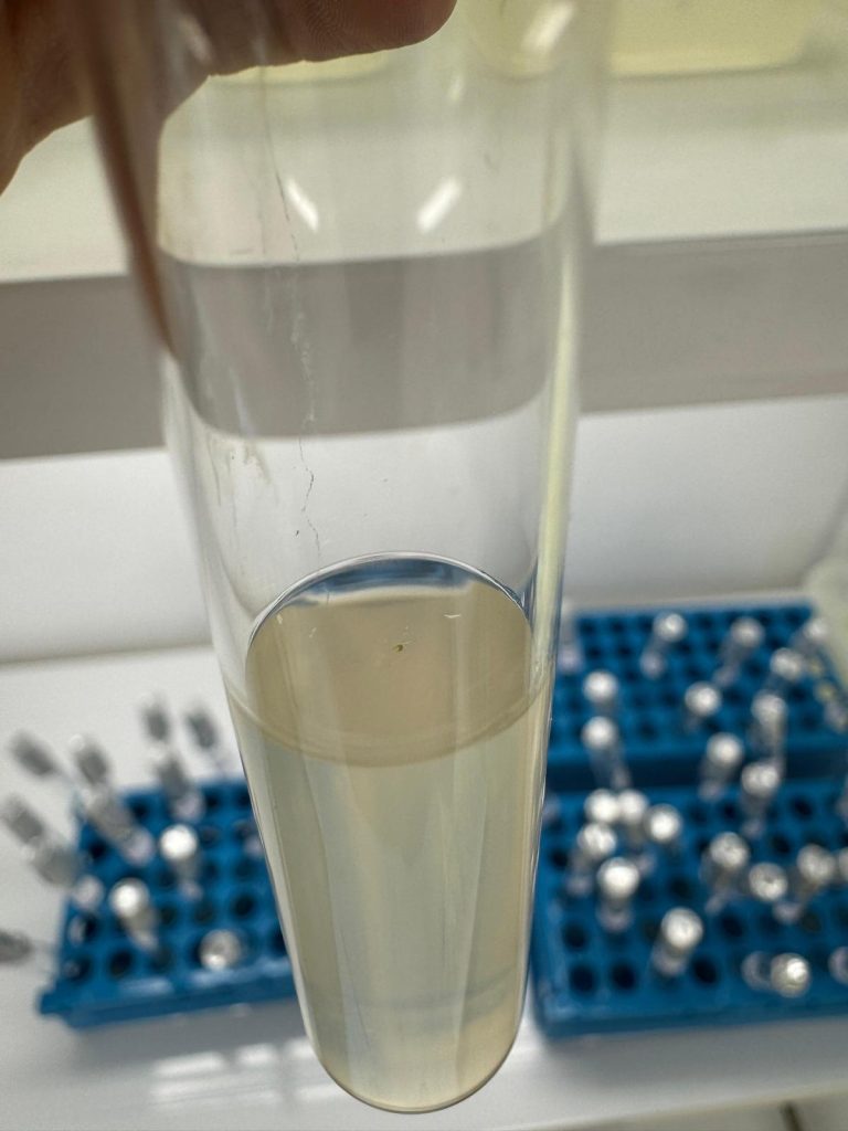 Laboratorul de biotehnologii