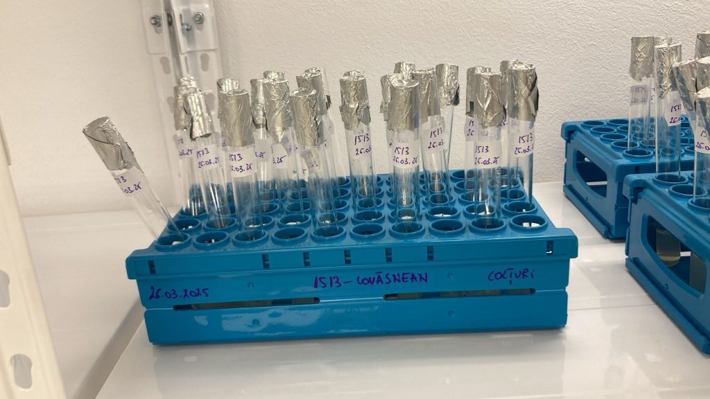 Laboratorul de biotehnologii