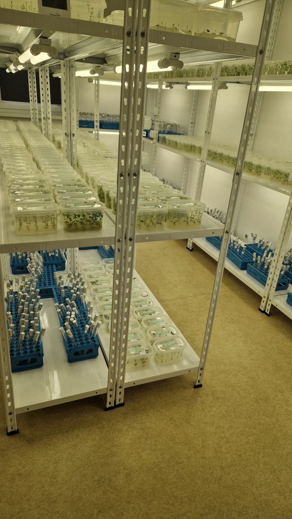 Laboratorul de biotehnologii