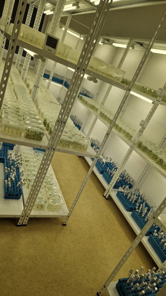 Laboratorul de biotehnologii