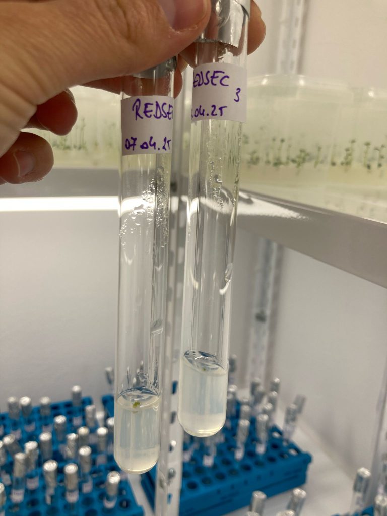 Laboratorul de biotehnologii