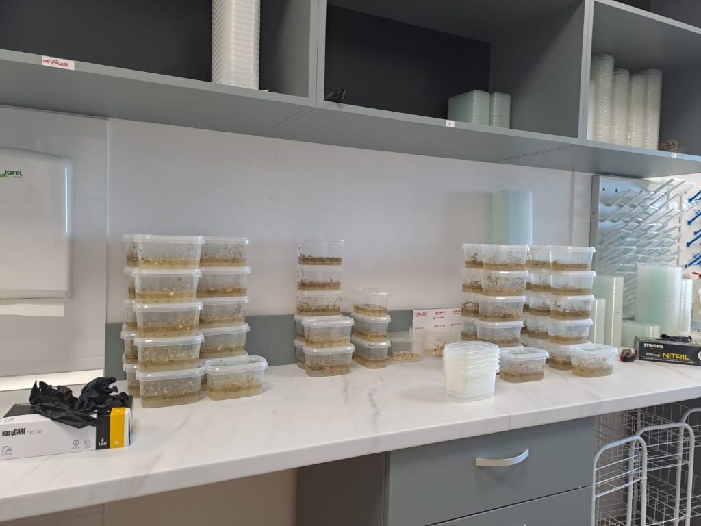 Laboratorul de biotehnologii