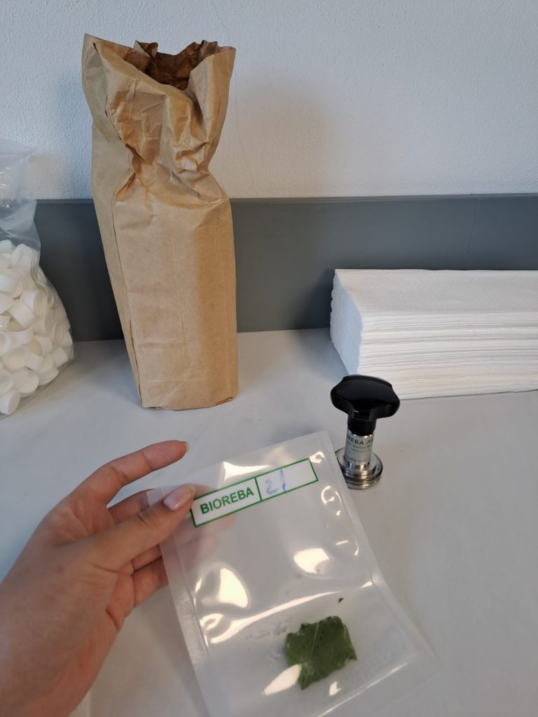 Laboratorul de biotehnologii