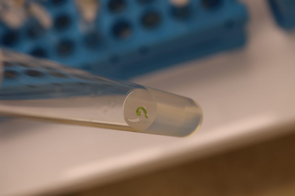 Laboratorul de biotehnologii