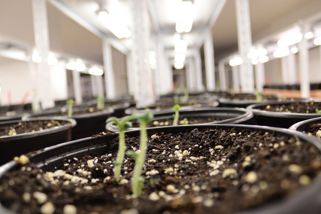 Laboratorul de biotehnologii