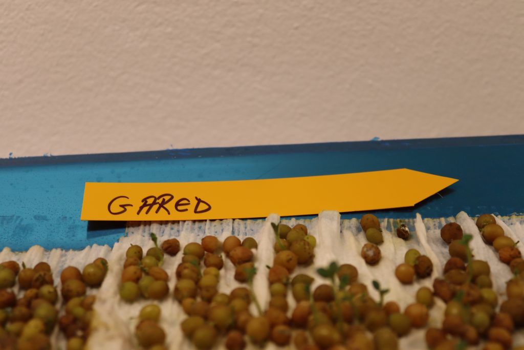 Laboratorul de biotehnologii