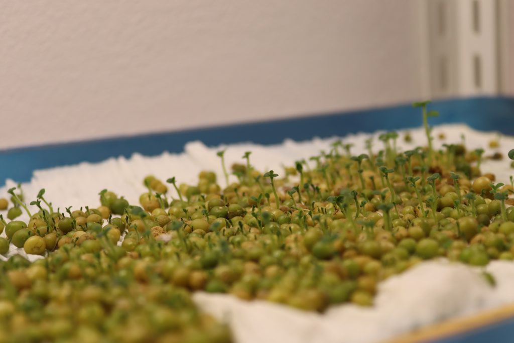 Laboratorul de biotehnologii