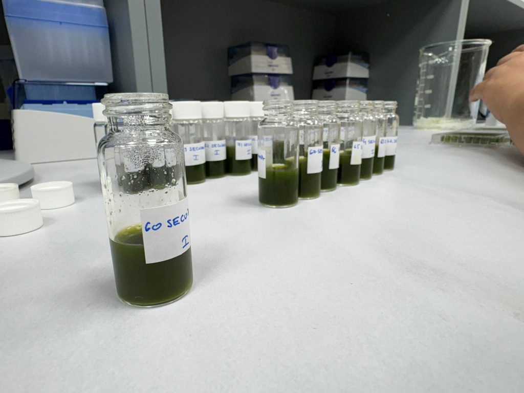 Laboratorul de biotehnologii