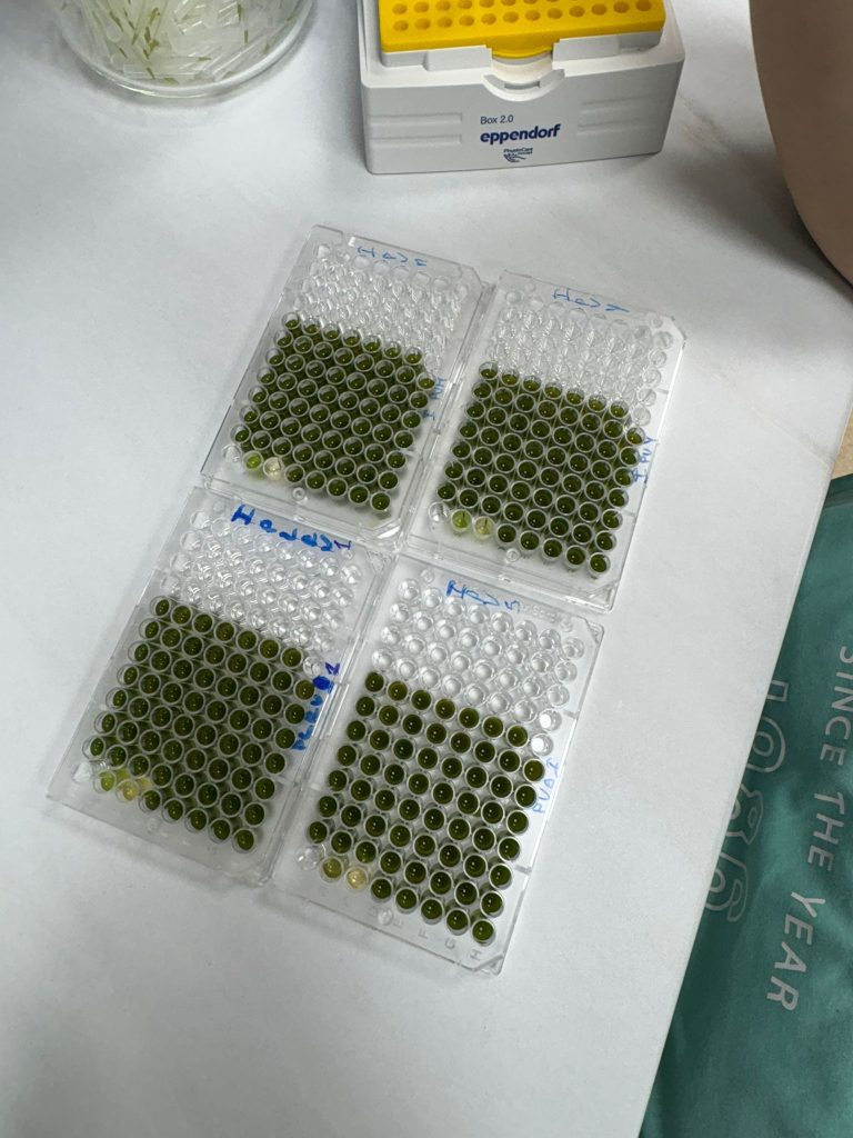 Laboratorul de biotehnologii