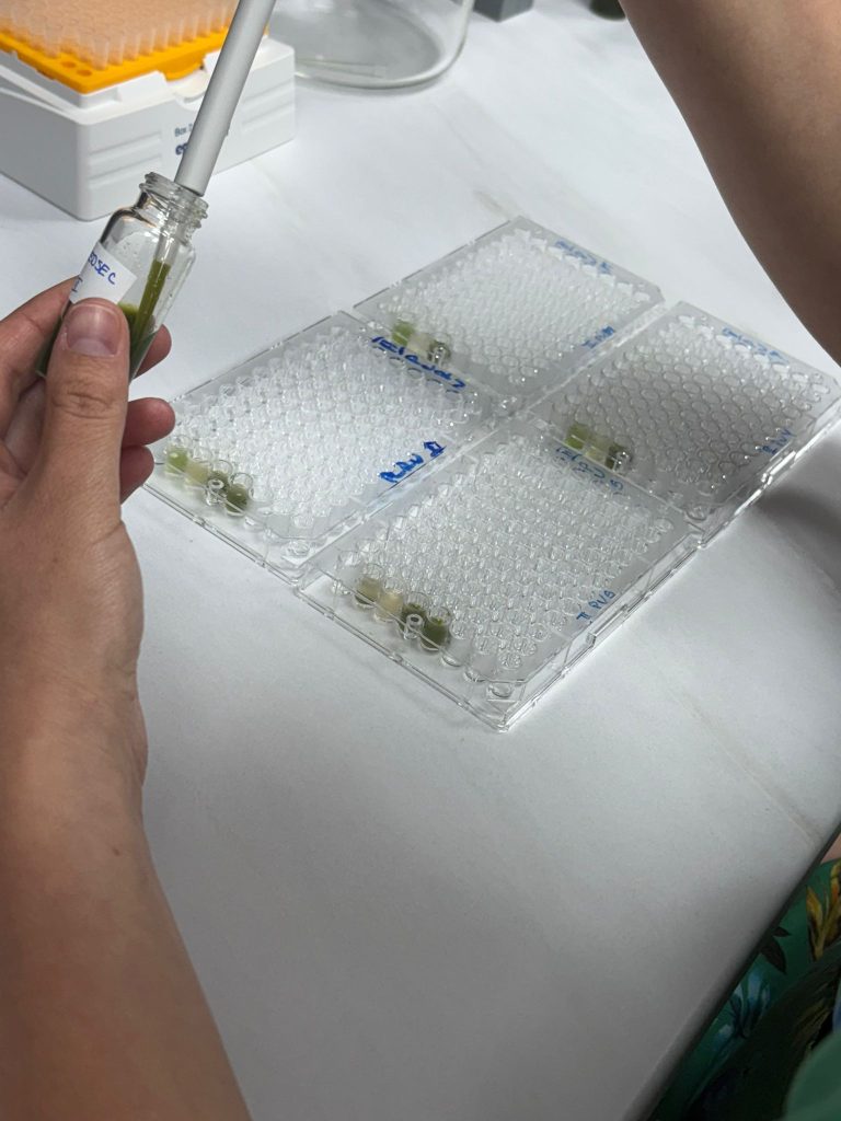 Laboratorul de biotehnologii