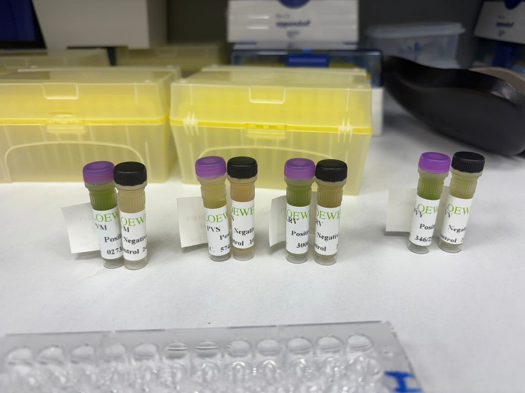 Laboratorul de biotehnologii