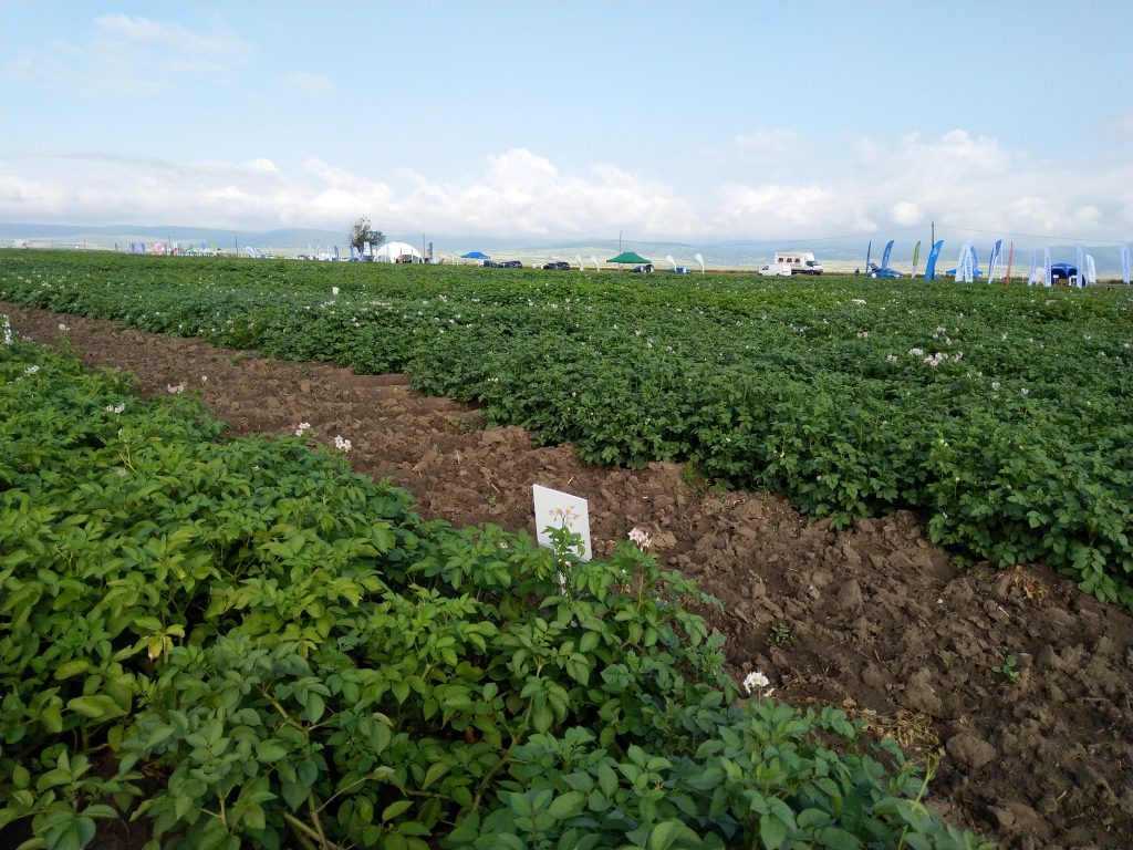 Ziua Verde a cartofului ediția XLII 2019