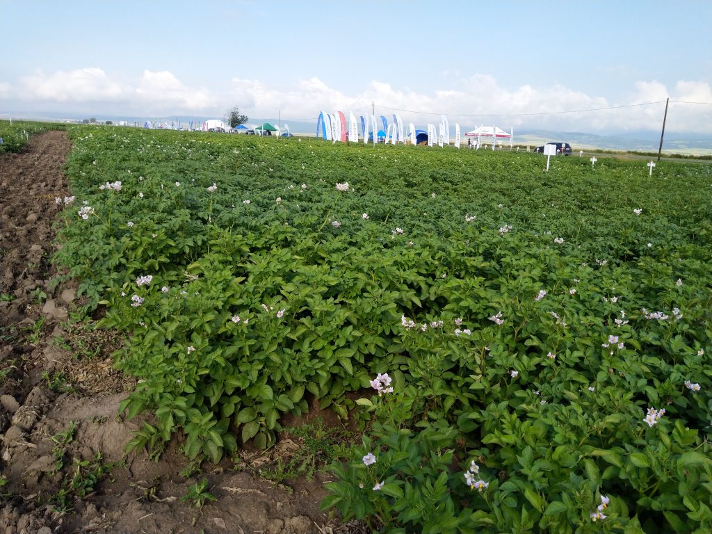 Ziua Verde a cartofului ediția XLII 2019