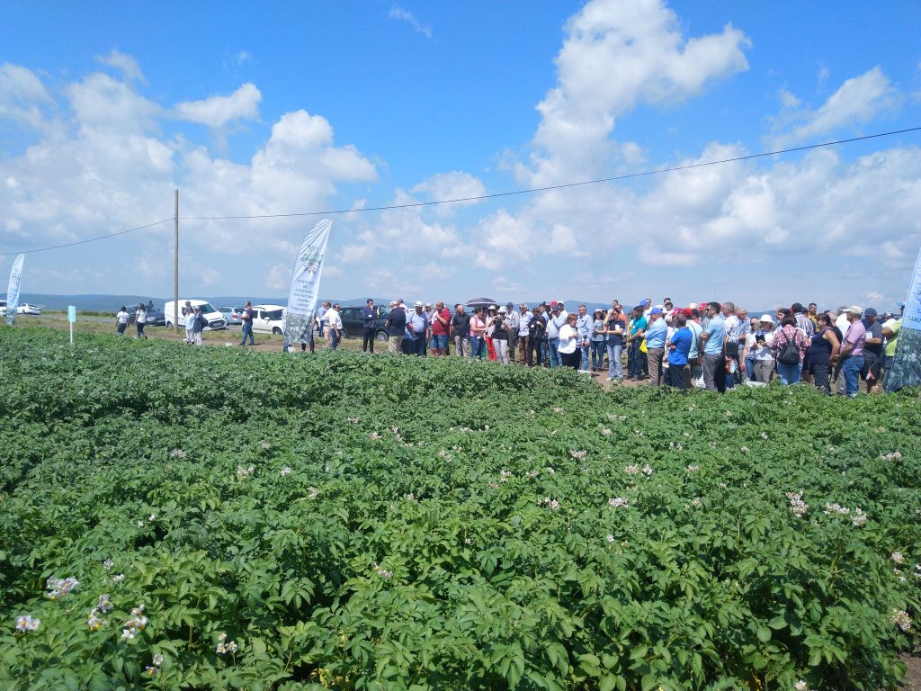 Ziua Verde a cartofului ediția XLII 2019